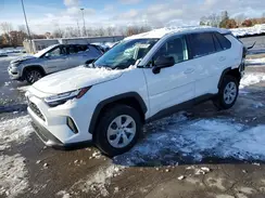 2T3F1RFV6SW560375 2025 TOYOTA RAV 4