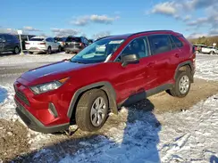 2T3F1RFV7KW025135 2019 TOYOTA RAV 4