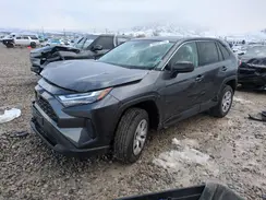 2T3F1RFV7PW372553 2023 TOYOTA RAV 4
