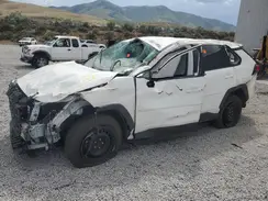 2T3F1RFV7PW381012 2023 TOYOTA RAV 4