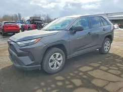 2T3F1RFV7RC452035 2024 TOYOTA RAV 4