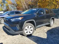 2T3F1RFV7RC470437 2024 TOYOTA RAV 4