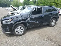 2T3F1RFV7RW436836 2024 TOYOTA RAV 4