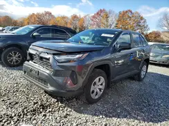 2T3F1RFV7RW451286 2024 TOYOTA RAV 4