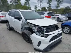 2T3F1RFV8KC038591 2019 TOYOTA RAV 4