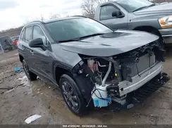 2T3F1RFV8LC063346 2020 TOYOTA RAV 4