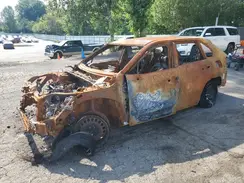 2T3F1RFV8PC357366 2023 TOYOTA RAV 4