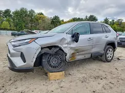 2T3F1RFV8PW364462 2023 TOYOTA RAV 4