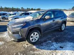 2T3F1RFV8RC404446 2024 TOYOTA RAV 4