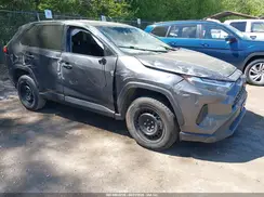 2T3F1RFV8RC410909 2024 TOYOTA RAV 4