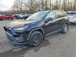 2T3F1RFV9KW064227 2019 TOYOTA RAV 4