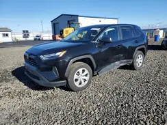 2T3F1RFV9RC426178 2024 TOYOTA RAV 4