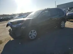 2T3F1RFV9RC488423 2024 TOYOTA RAV 4