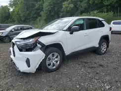 2T3F1RFV9RW463262 2024 TOYOTA RAV 4