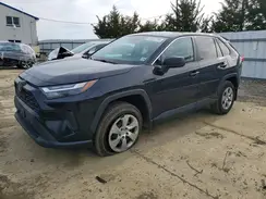 2T3F1RFVXPW355018 2023 TOYOTA RAV 4