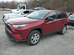 2T3F1RFVXPW369274 2023 TOYOTA RAV 4