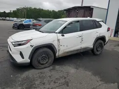 2T3F1RFVXRC459237 2024 TOYOTA RAV 4