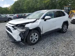 2T3G1RFV0KC041604 2019 TOYOTA RAV 4