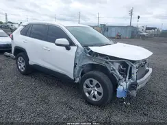 2T3G1RFV0PW351502 2023 TOYOTA RAV 4