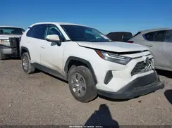 2T3G1RFV0PW387951 2023 TOYOTA RAV 4