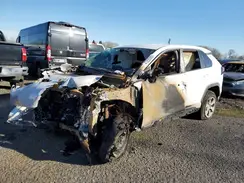 2T3G1RFV0RW454728 2024 TOYOTA RAV 4