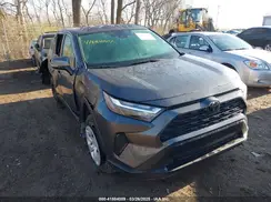 2T3G1RFV0RW485221 2024 TOYOTA RAV 4