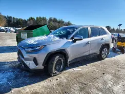 2T3G1RFV0SC558675 2025 TOYOTA RAV 4
