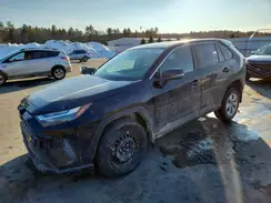 2T3G1RFV0SC568039 2025 TOYOTA RAV 4