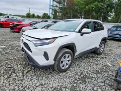 2T3G1RFV0SW557167 2025 TOYOTA RAV 4