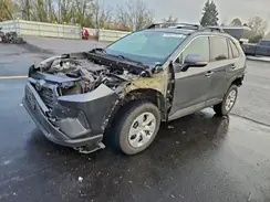 2T3G1RFV1KC053695 2019 TOYOTA RAV 4