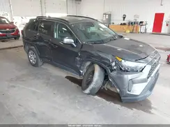 2T3G1RFV1KW057731 2019 TOYOTA RAV 4