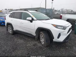 2T3G1RFV1KW067482 2019 TOYOTA RAV 4