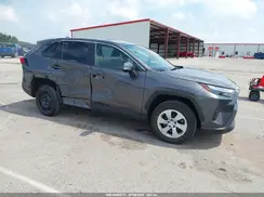 2T3G1RFV1RC405068 2024 TOYOTA RAV 4