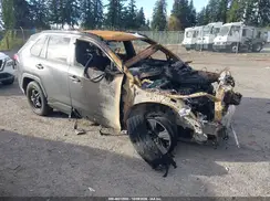 2T3G1RFV1RC417267 2024 TOYOTA RAV 4