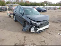 2T3G1RFV1RW479038 2024 TOYOTA RAV 4