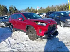 2T3G1RFV1RW494168 2024 TOYOTA RAV 4