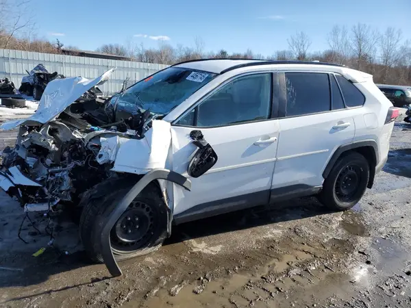 2T3G1RFV2KC013660 2019 TOYOTA RAV 4 - Image 1