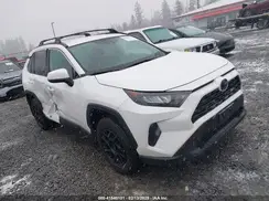 2T3G1RFV2LW109983 2020 TOYOTA RAV 4