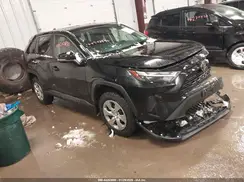 2T3G1RFV2PC339207 2023 TOYOTA RAV 4