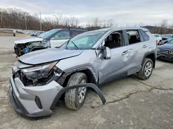 2T3G1RFV2PC392103 2023 TOYOTA RAV 4