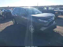 2T3G1RFV2PW336516 2023 TOYOTA RAV 4