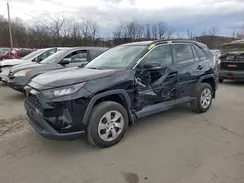 2T3G1RFV3KC045274 2019 TOYOTA RAV 4