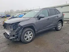 2T3G1RFV3KW005162 2019 TOYOTA RAV 4