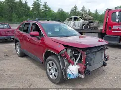 2T3G1RFV3KW022401 2019 TOYOTA RAV 4