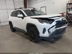 2T3G1RFV3KW059075 2019 TOYOTA RAV 4