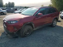 2T3G1RFV3KW083070 2019 TOYOTA RAV 4