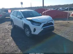 2T3G1RFV3LW087993 2020 TOYOTA RAV 4