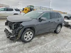 2T3G1RFV3PC338289 2023 TOYOTA RAV 4