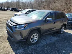 2T3G1RFV3PW333527 2023 TOYOTA RAV 4