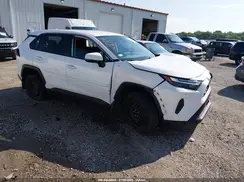 2T3G1RFV3RW422517 2024 TOYOTA RAV 4